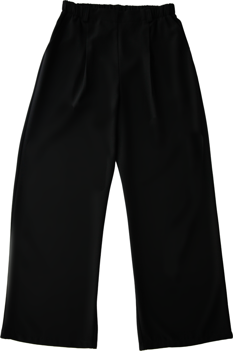 Straight pleated pants - Black 
